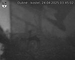 Capi_Dubne_20250424_034502.jpg