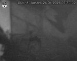 Capi_Dubne_20250424_035002.jpg