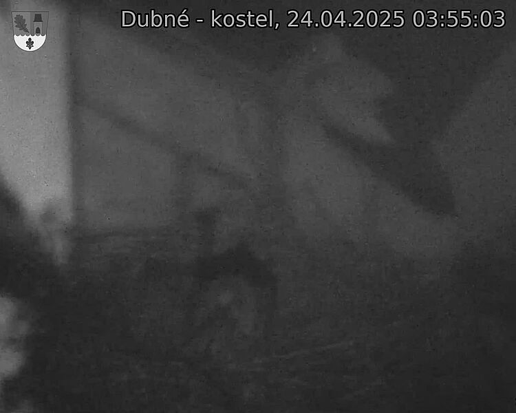 Capi_Dubne_20250424_035503.jpg (1350 x 1080)