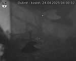 Capi_Dubne_20250424_040002.jpg