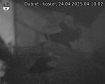 Capi_Dubne_20250424_041002.jpg