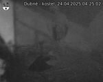 Capi_Dubne_20250424_042502.jpg