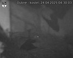 Capi_Dubne_20250424_043003.jpg