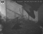 Capi_Dubne_20250424_043502.jpg