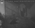 Capi_Dubne_20250424_045502.jpg