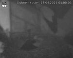 Capi_Dubne_20250424_050003.jpg