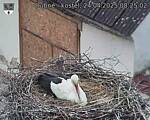 Capi_Dubne_20250424_082502.jpg