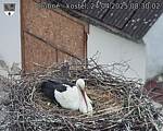 Capi_Dubne_20250424_083002.jpg