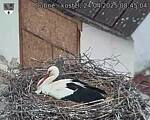 Capi_Dubne_20250424_084504.jpg