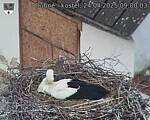 Capi_Dubne_20250424_090003.jpg
