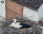 Capi_Dubne_20250424_091504.jpg