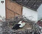 Capi_Dubne_20250424_093004.jpg