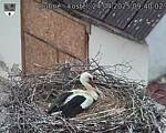 Capi_Dubne_20250424_094002.jpg