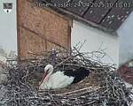 Capi_Dubne_20250424_101003.jpg