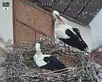 Capi_Dubne_20250424_110502.jpg