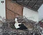 Capi_Dubne_20250424_111502.jpg