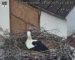 Capi_Dubne_20250424_112002.jpg