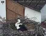 Capi_Dubne_20250424_112504.jpg