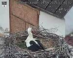 Capi_Dubne_20250424_114002.jpg
