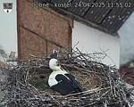 Capi_Dubne_20250424_115502.jpg