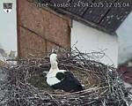 Capi_Dubne_20250424_120504.jpg