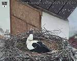 Capi_Dubne_20250424_122003.jpg
