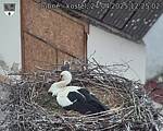Capi_Dubne_20250424_122502.jpg