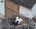 Capi_Dubne_20250424_124502.jpg