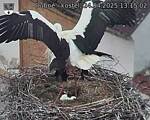 Capi_Dubne_20250424_131502.jpg