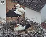 Capi_Dubne_20250424_132002.jpg