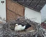 Capi_Dubne_20250424_133504.jpg