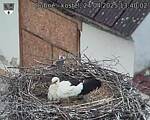 Capi_Dubne_20250424_134002.jpg