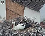 Capi_Dubne_20250424_134504.jpg