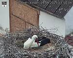 Capi_Dubne_20250424_135004.jpg