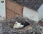 Capi_Dubne_20250424_135502.jpg