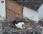 Capi_Dubne_20250424_140502.jpg