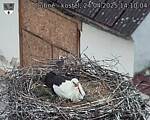 Capi_Dubne_20250424_141004.jpg
