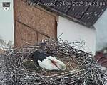 Capi_Dubne_20250424_142004.jpg