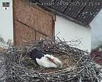 Capi_Dubne_20250424_142504.jpg
