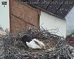 Capi_Dubne_20250424_143002.jpg