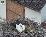 Capi_Dubne_20250424_145502.jpg