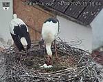 Capi_Dubne_20250424_151004.jpg