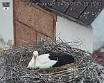 Capi_Dubne_20250424_151502.jpg