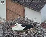 Capi_Dubne_20250424_152004.jpg