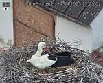 Capi_Dubne_20250424_152502.jpg