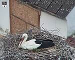 Capi_Dubne_20250424_153002.jpg