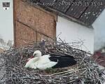 Capi_Dubne_20250424_153504.jpg