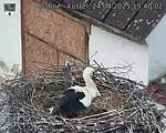 Capi_Dubne_20250424_154002.jpg