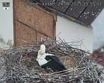 Capi_Dubne_20250424_155502.jpg