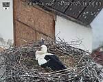 Capi_Dubne_20250424_160003.jpg